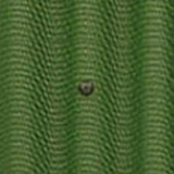 green g
