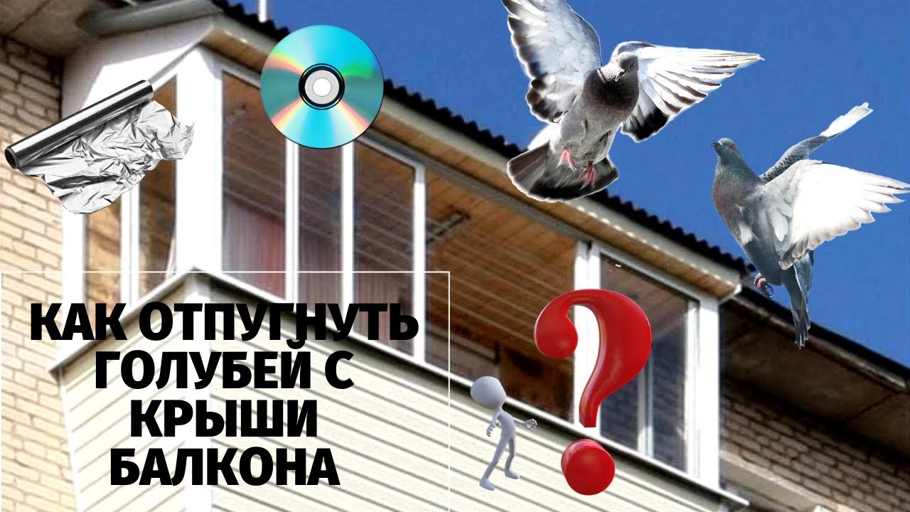 Оставить чердак недоступным для голубей