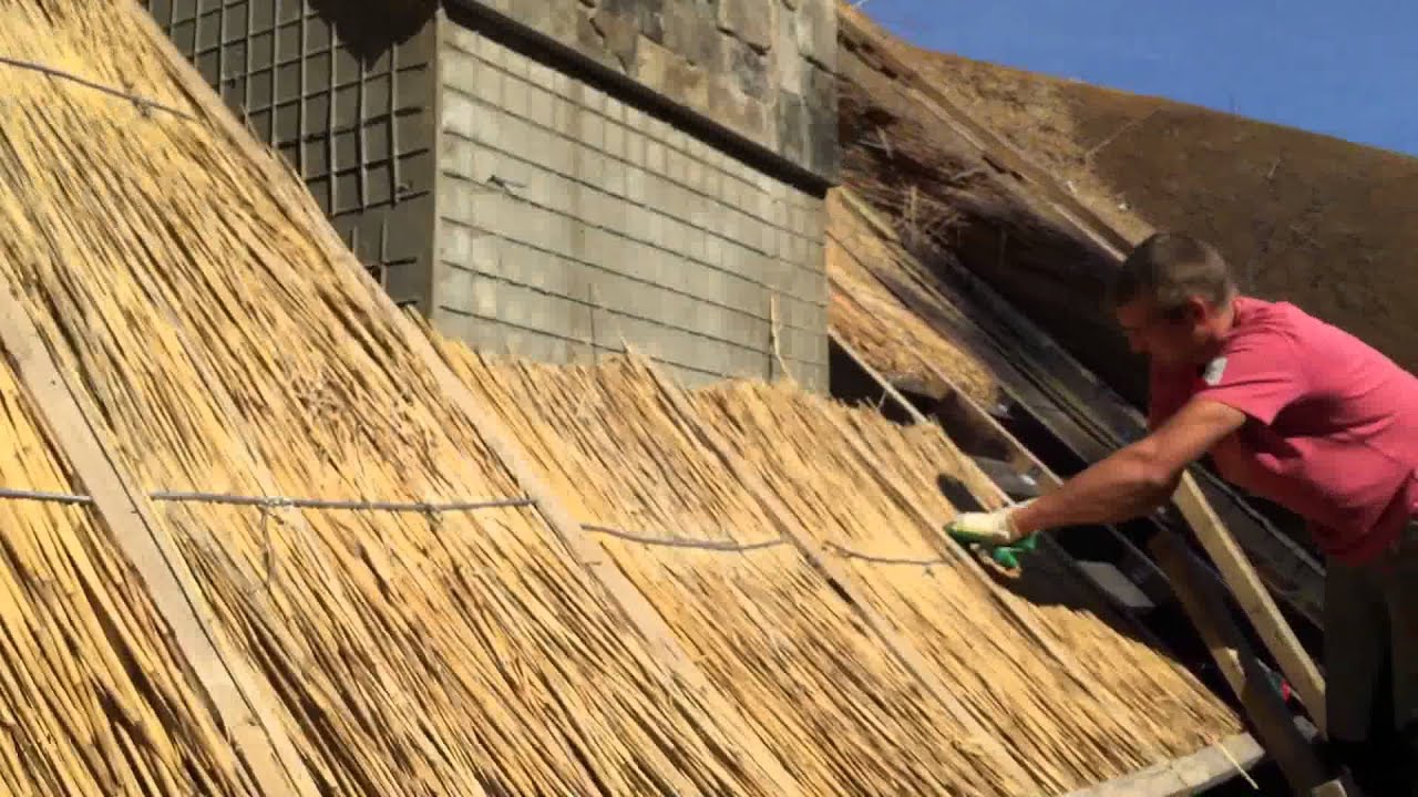 Строительство каркаса 