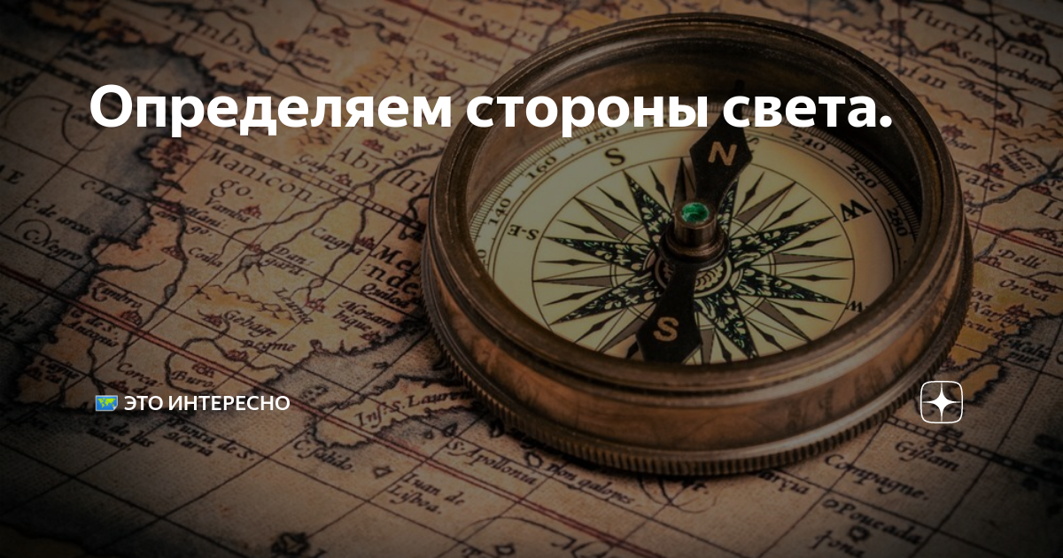 Полезные функции мобильного приложения