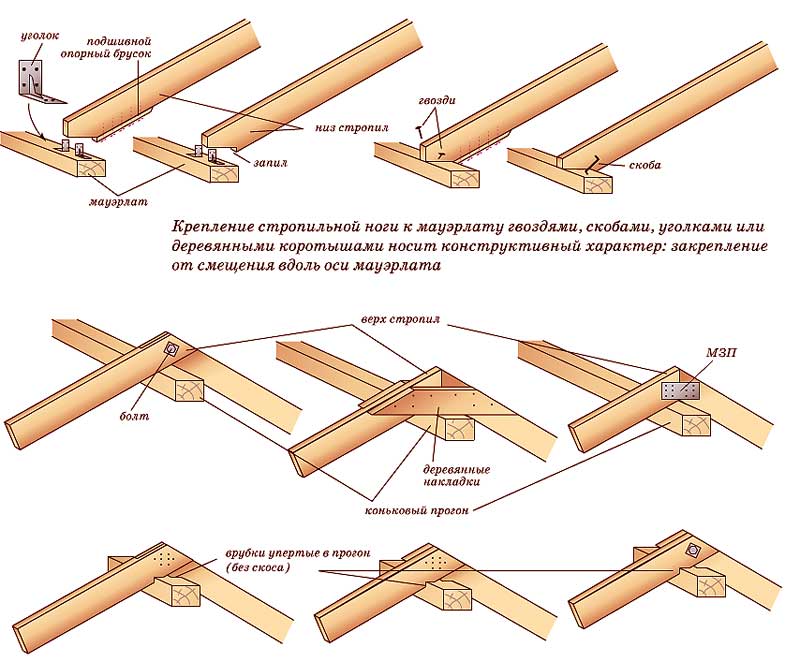 Длина и ширина